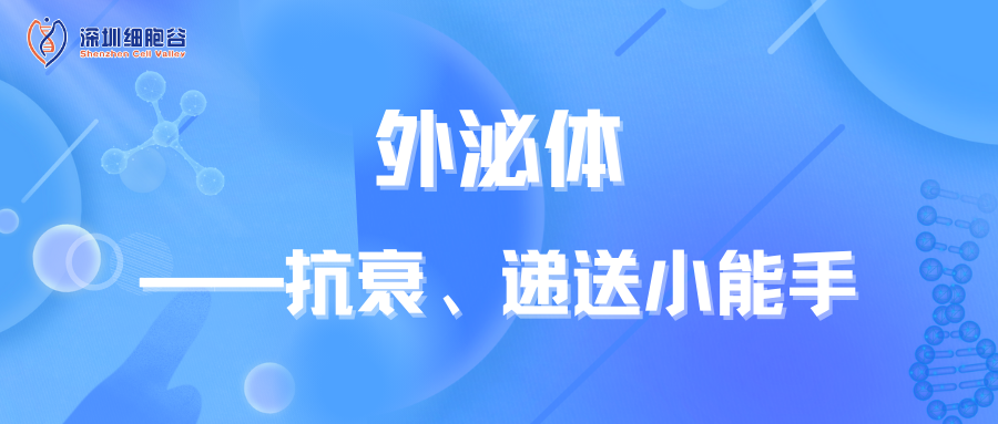 知识科普|外泌体——抗衰、递送小能手