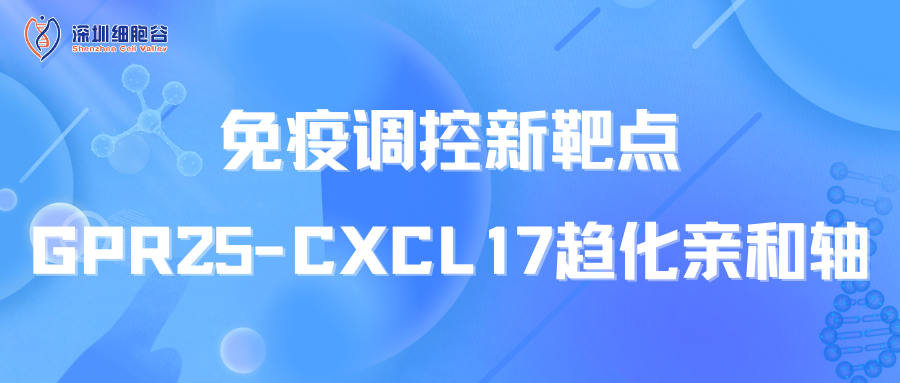 文献分享|免疫调控新靶点：GPR25-CXCL17趋化亲和轴