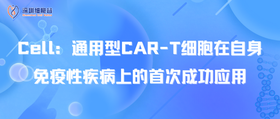文献分享| Cell：通用型CAR-T细胞在自身免疫性疾病上的首次成功应用