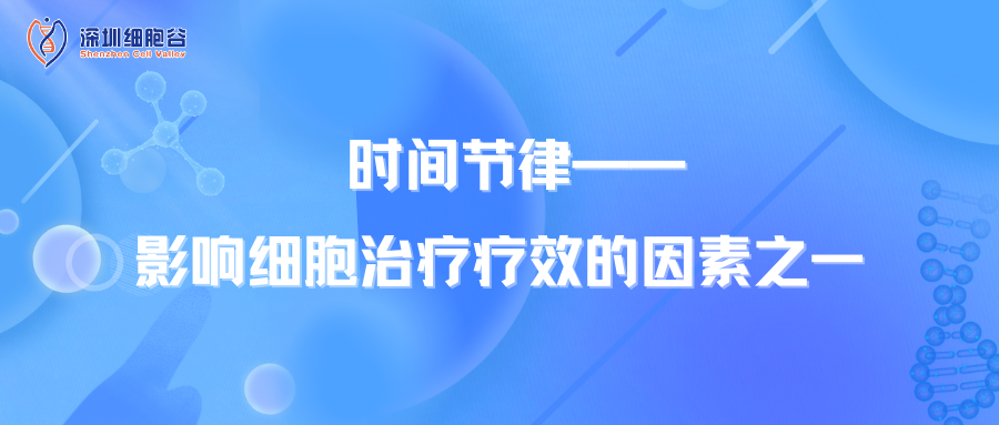 文献分享|时间节律——影响细胞治疗疗效的因素之一