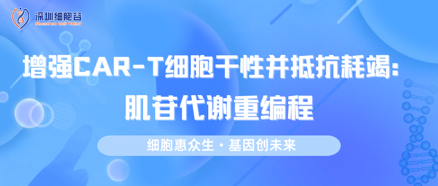 文献分享|增强CAR-T细胞干性并抵抗耗竭：肌苷代谢重编程