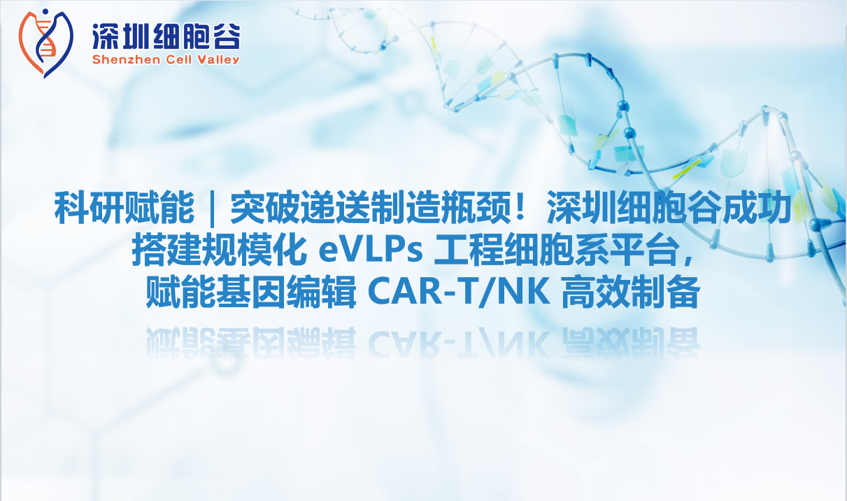 科研赋能｜突破递送制造瓶颈！深圳evo真人视讯成功搭建规模化 eVLPs 工程细胞系平台，赋能基因编辑 CAR-T/NK 高效制备